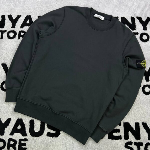 photo_2026-06-14_20-11-59 (2) STONE ISLAND SWEATSHIRT