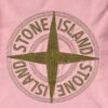 photo_2026-06-21_23-07-17 STONE ISLAND BIG LOGO SWEATSHIRT